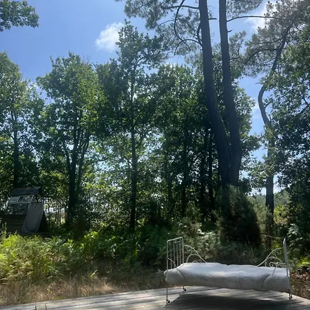 Cosy Tinny House Avec Beignoire In The Forest Et Toilette Seche * Мимизан-Плаж